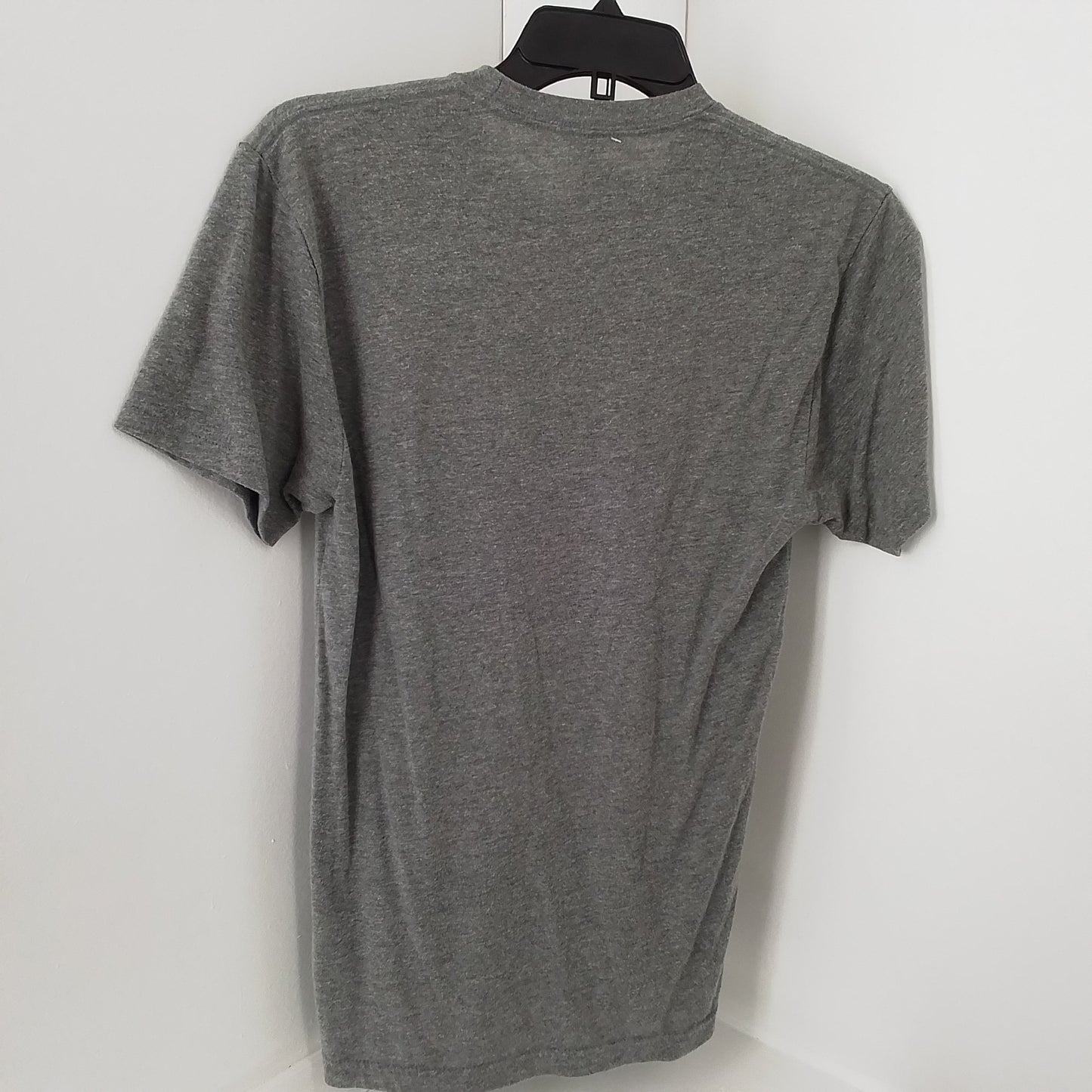 ADULT-ISH t-shirt