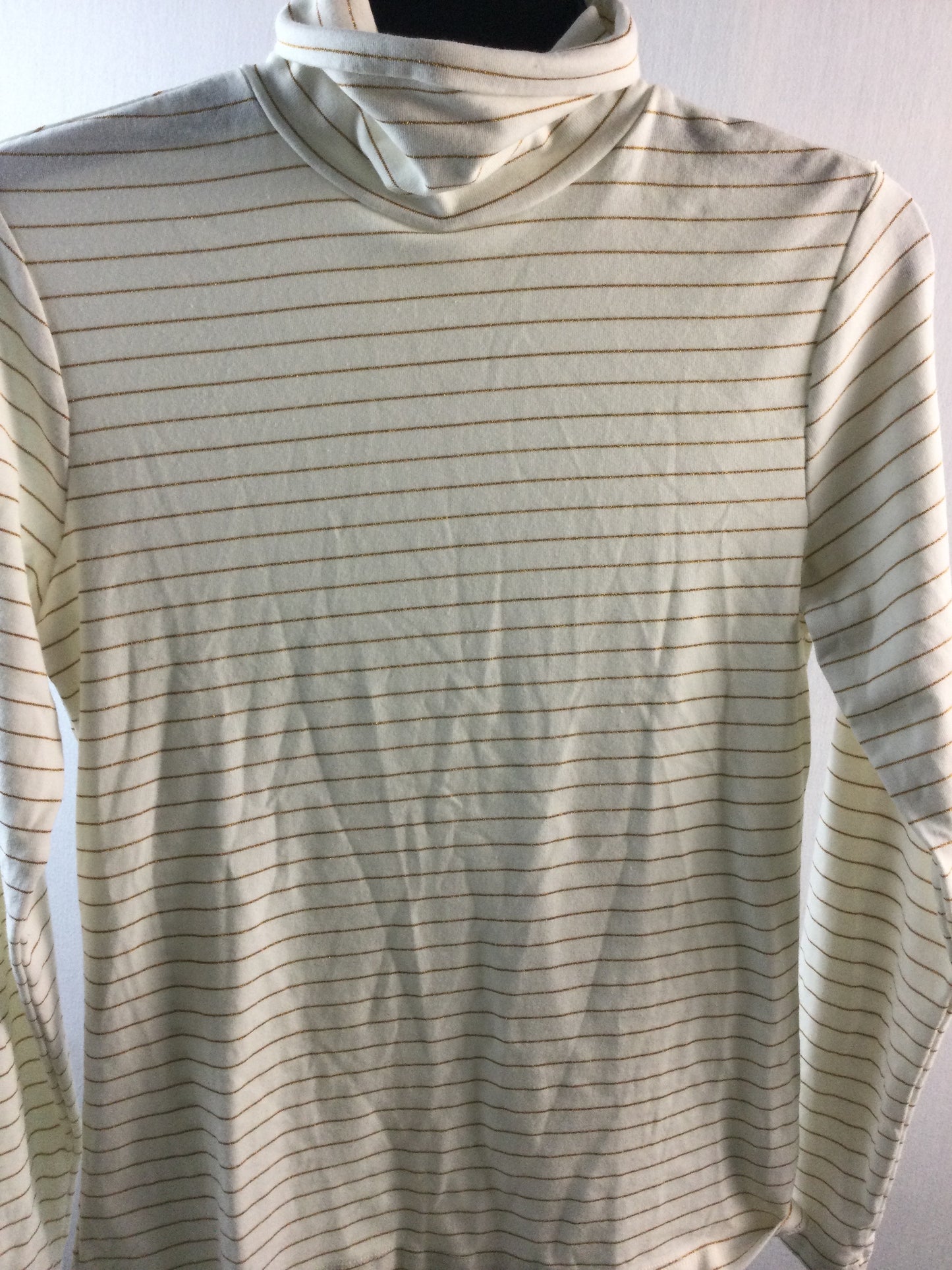 long sleeve turtle neck