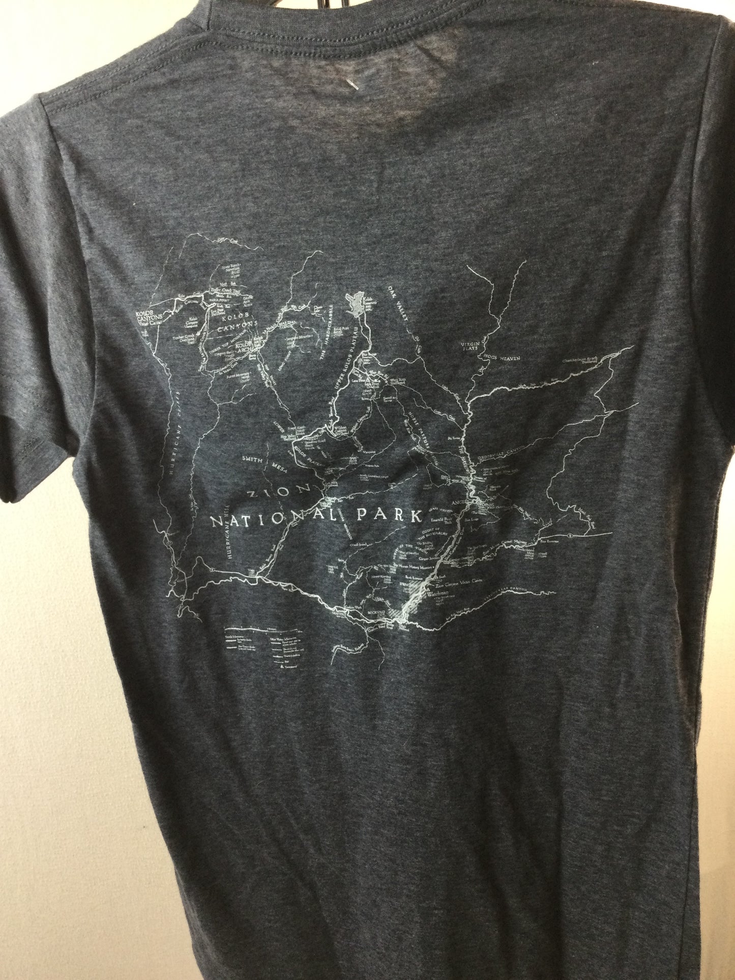 Adult Zion National Park T-shirt