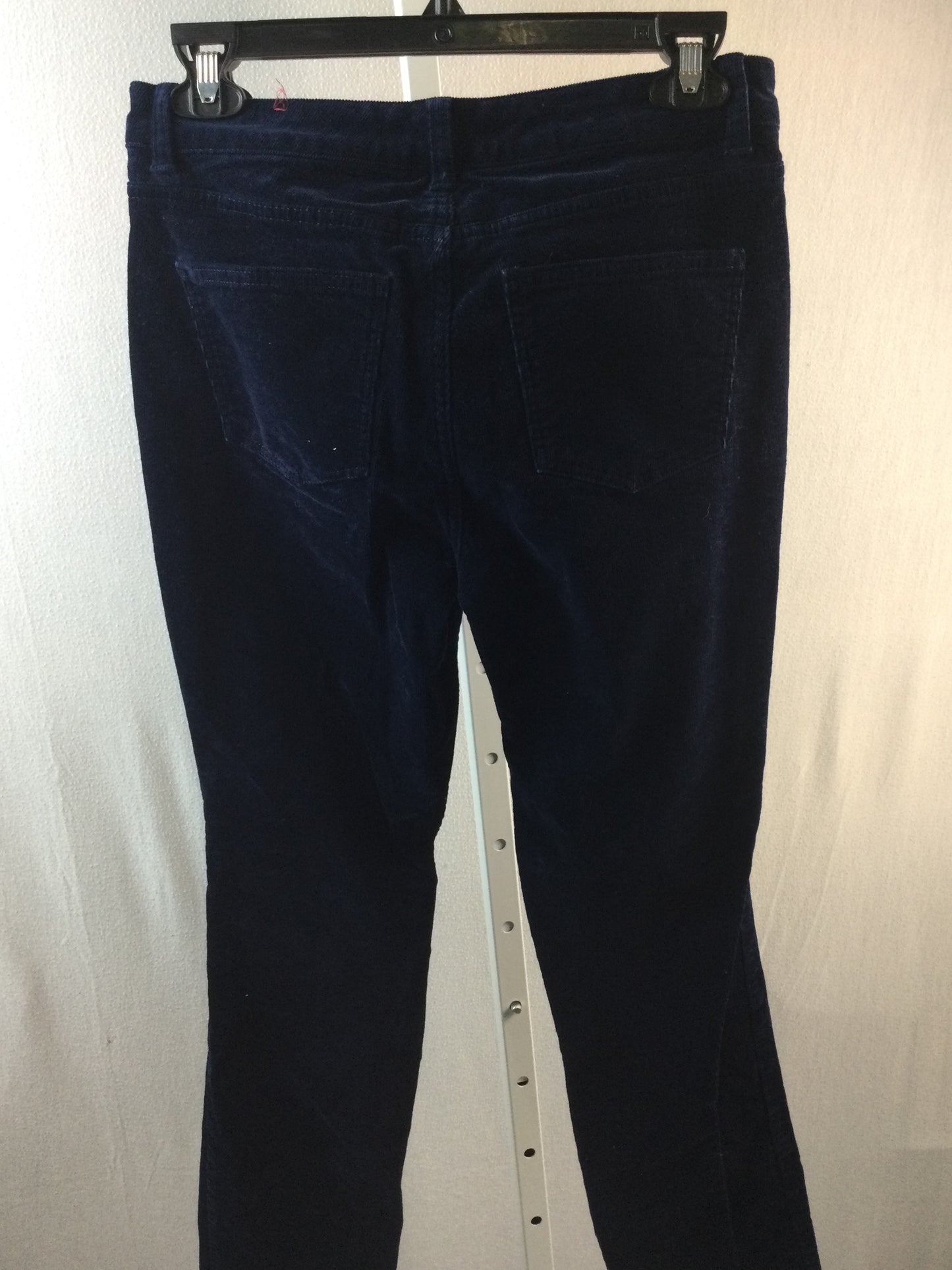 Talbots Women's Petite Pants