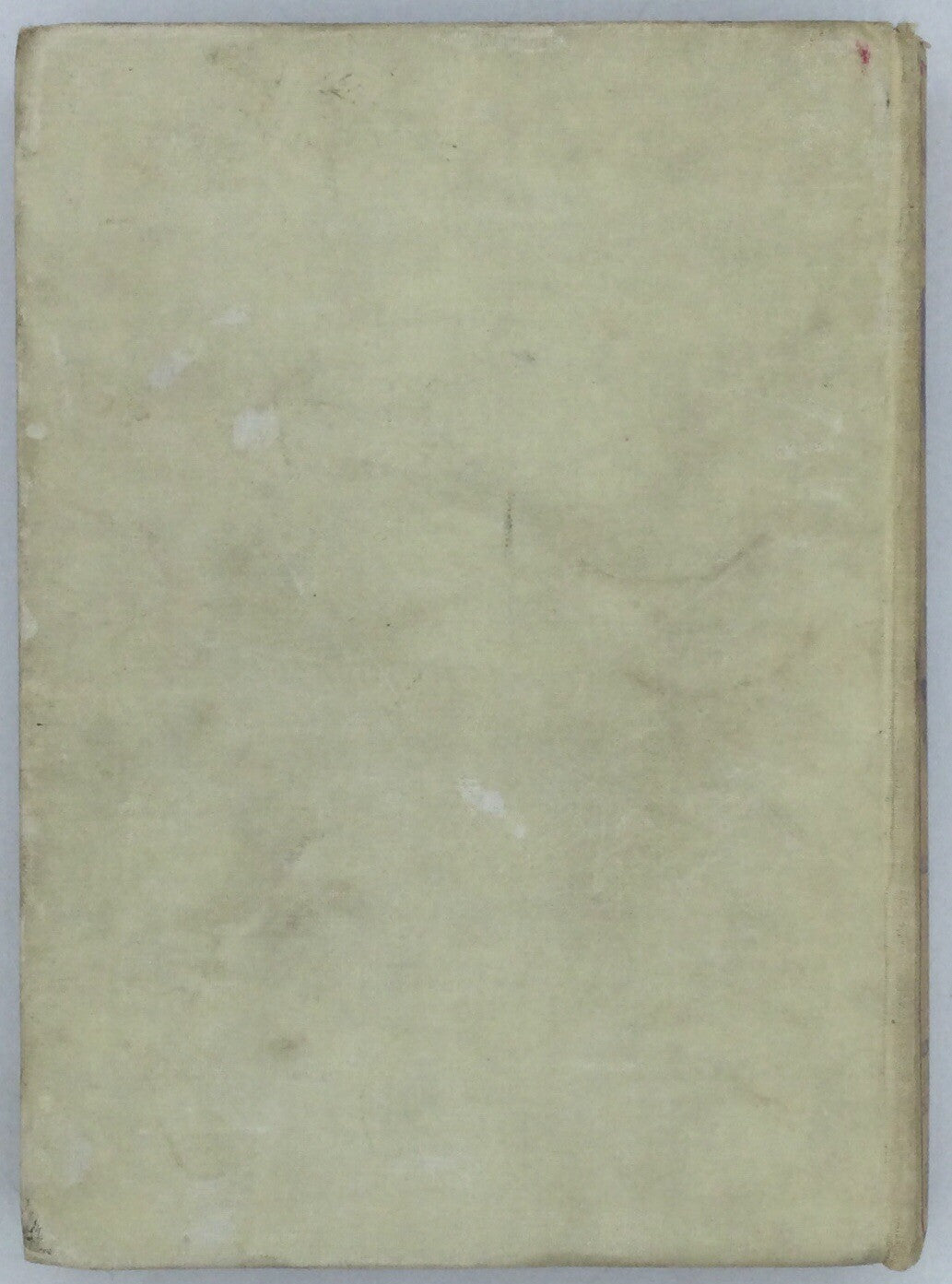 The Hunted Piccaninnies by W. M. Fleming (1927)