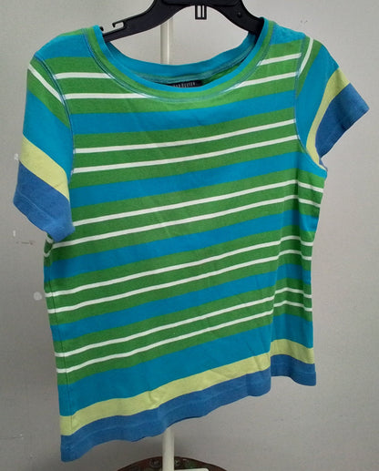 Van Heusen Women's Blue and Green Stripped Shirt