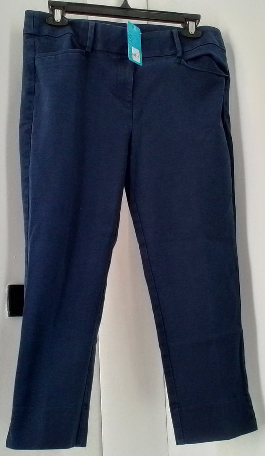 Loft Women's Navy Blue Capris