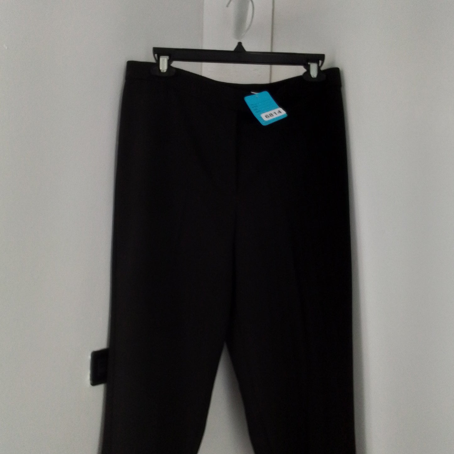 women's dress pants