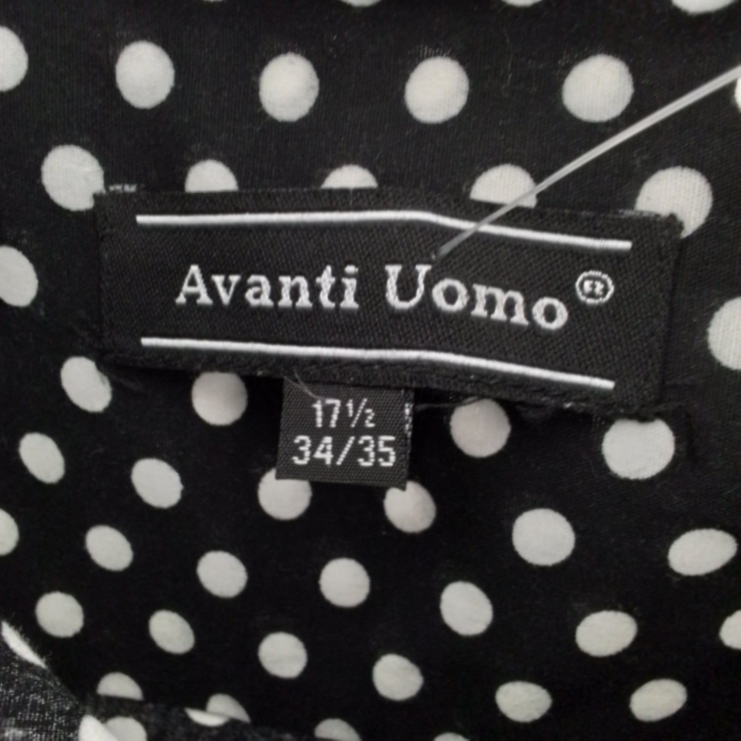 men's avanti uomo button down