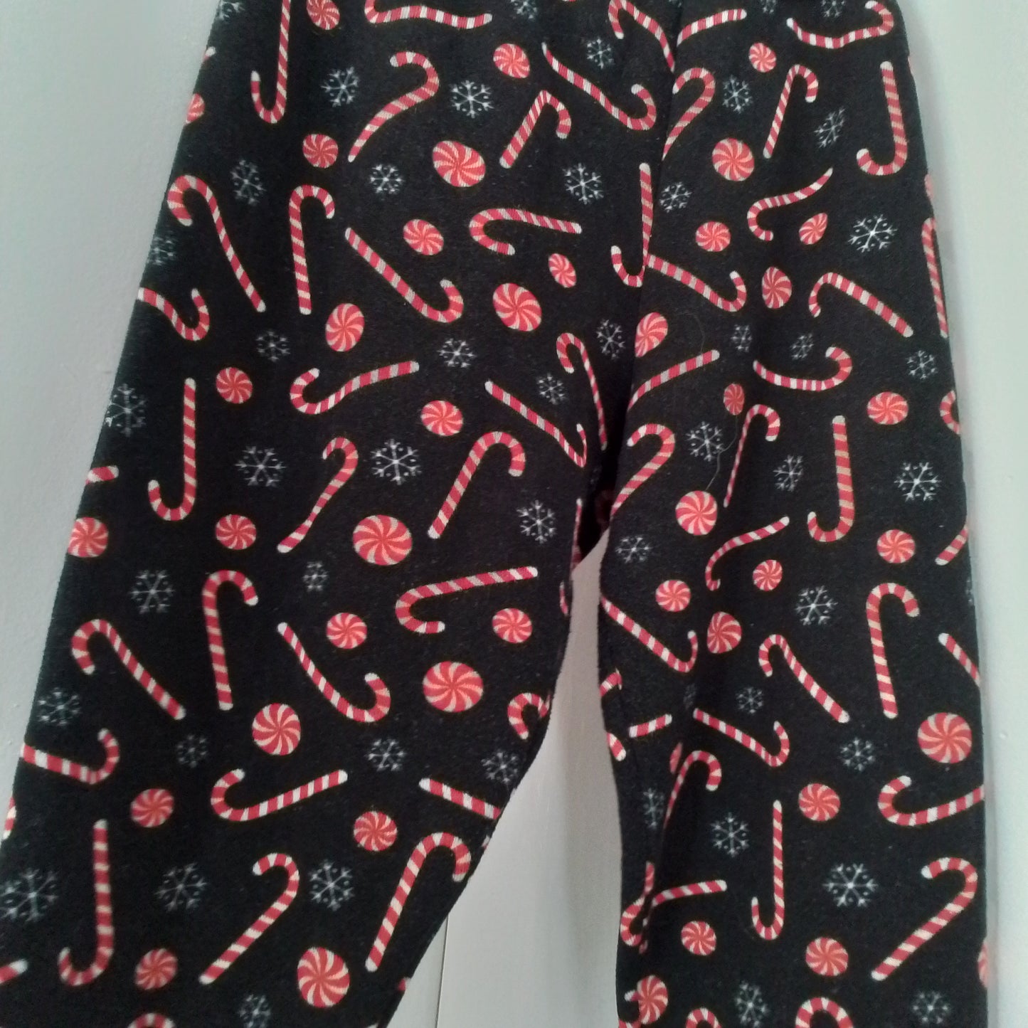 adult TERRA&SKY pj pants