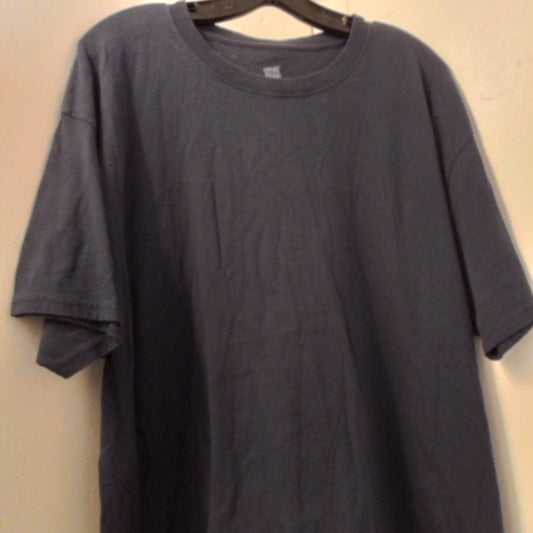 Adult Hanes T-shirt