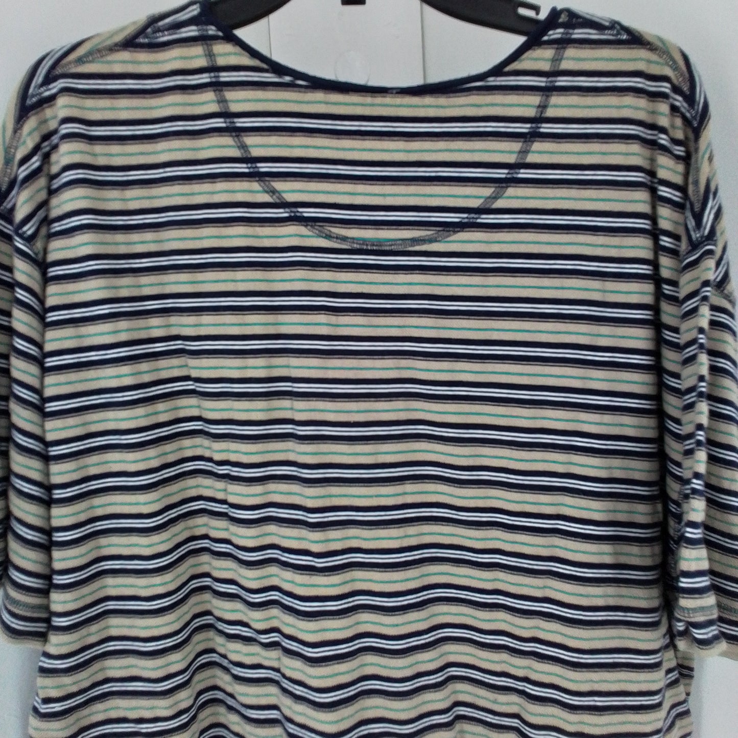 Mountain Express adult shirt