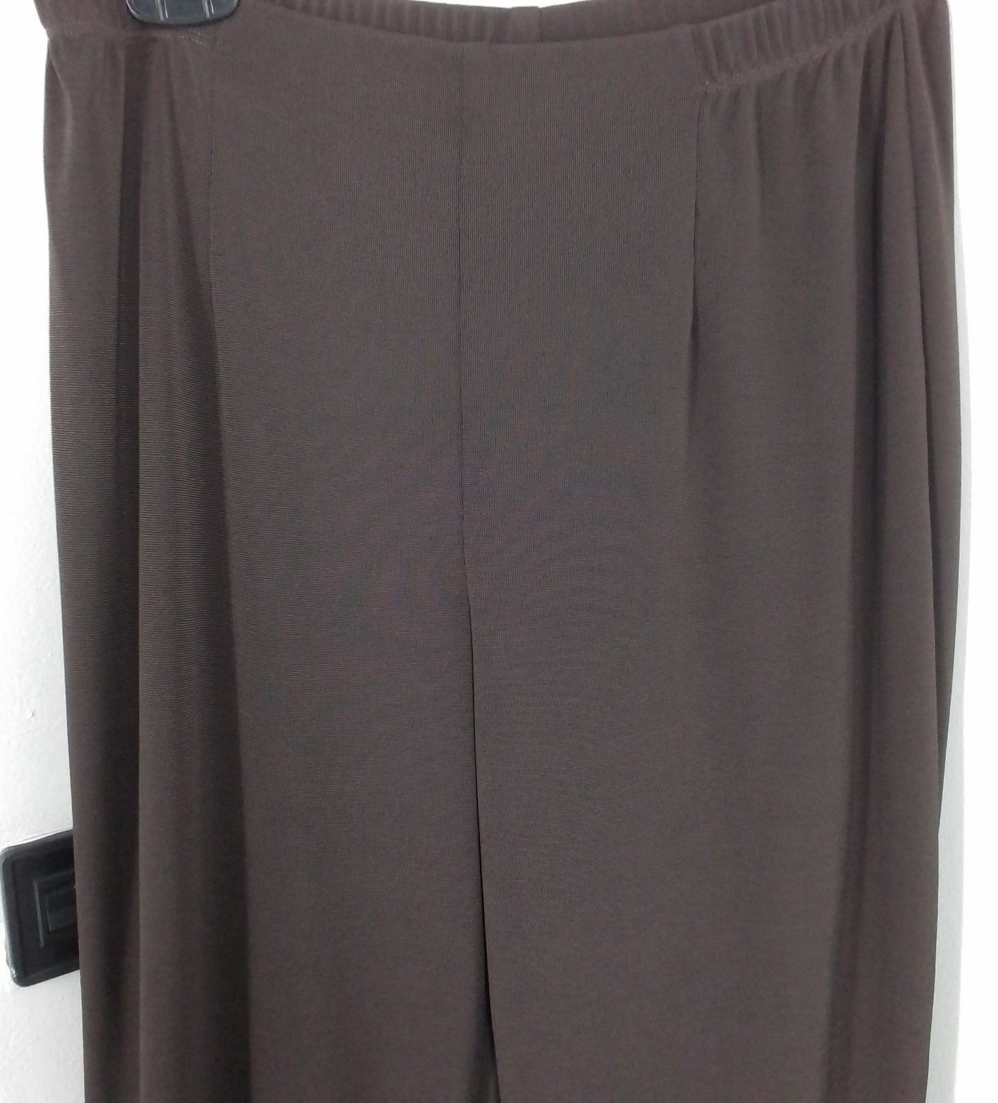 Chico's Women's Brown Polyester Pants