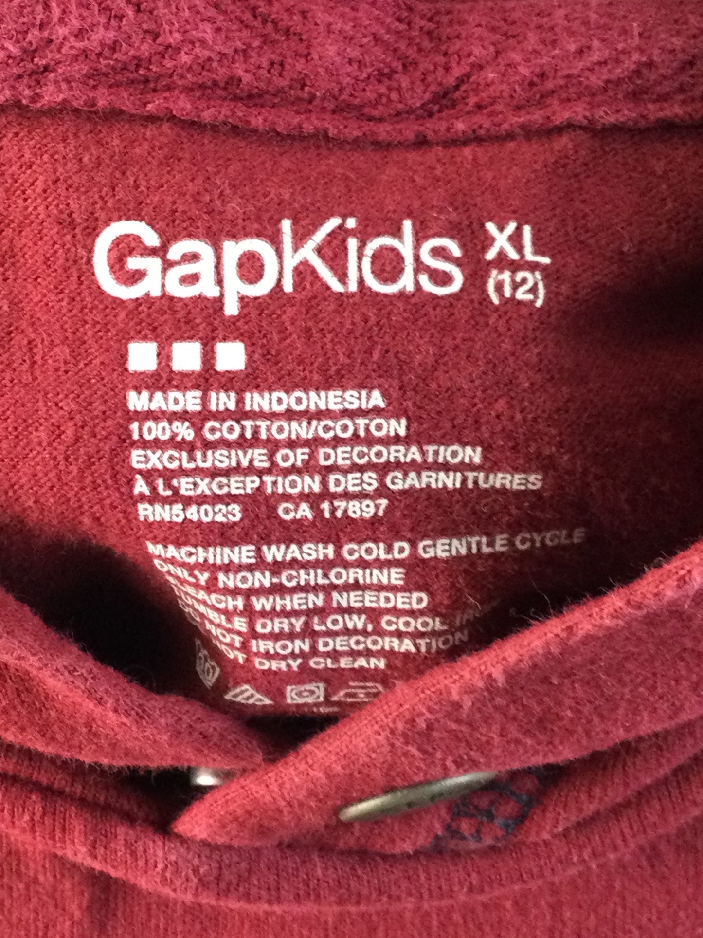 Gap Boys' Red "Gap San Francisco" Hoodie