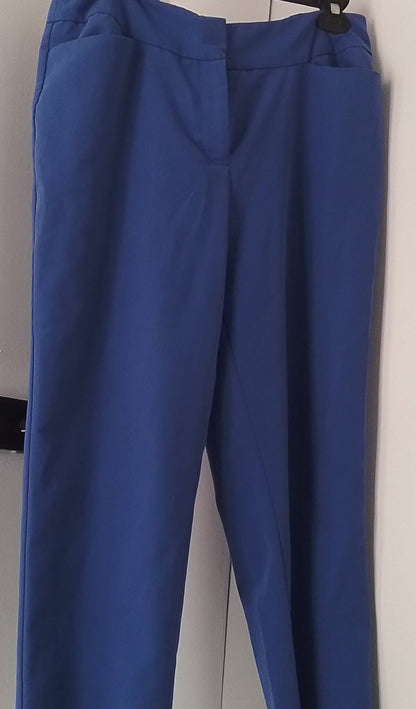 Kim Rogers Women's Blue Pants