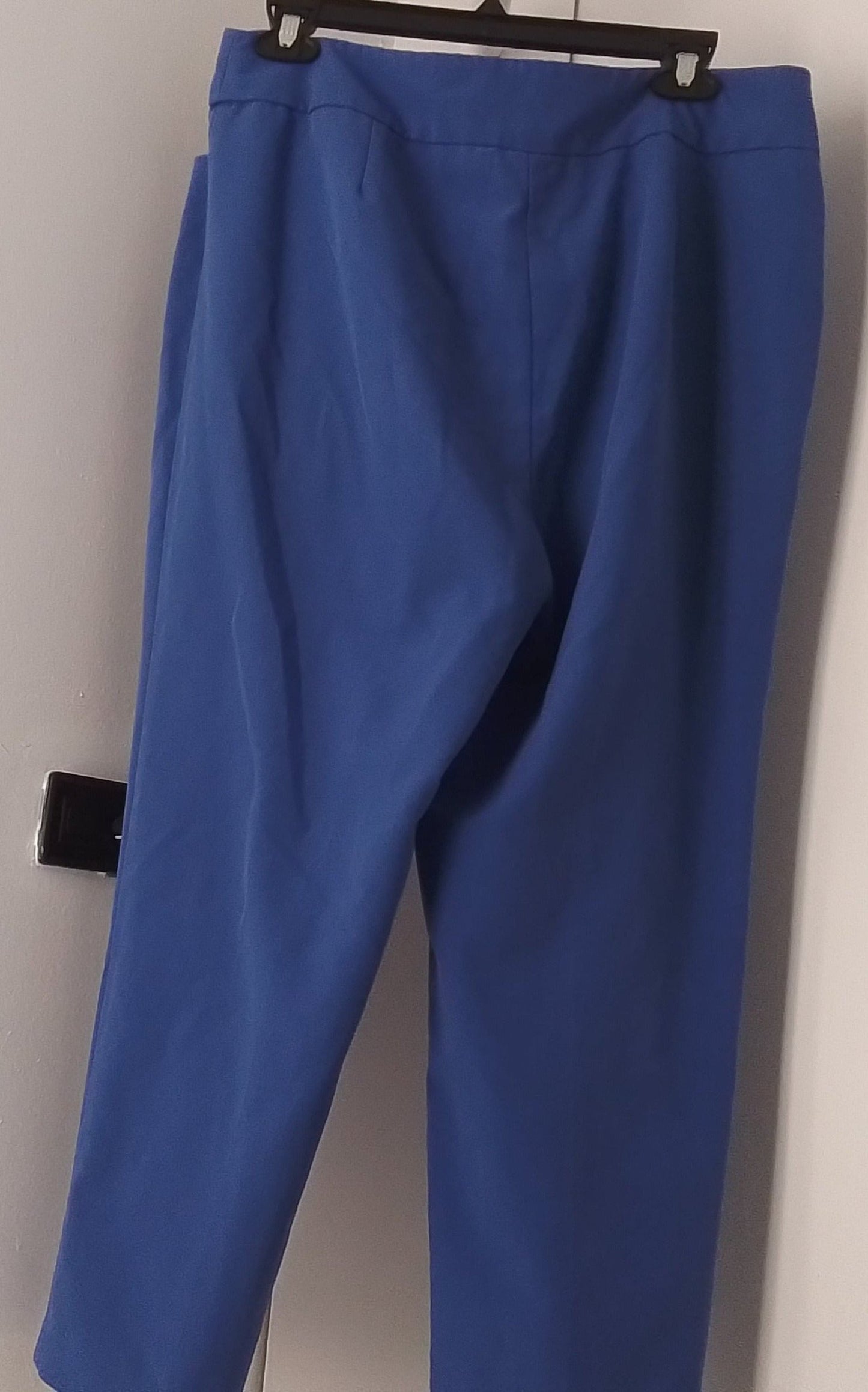 Kim Rogers Women's Blue Pants